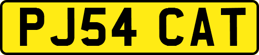 PJ54CAT