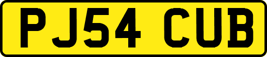 PJ54CUB
