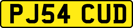 PJ54CUD