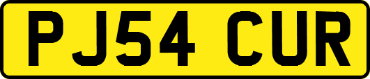 PJ54CUR