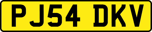 PJ54DKV