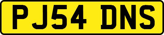 PJ54DNS