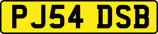 PJ54DSB