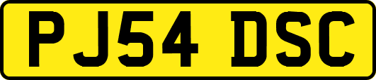 PJ54DSC