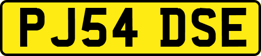 PJ54DSE