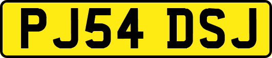 PJ54DSJ