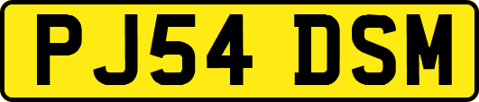 PJ54DSM