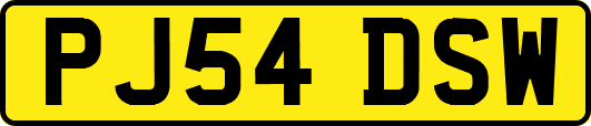 PJ54DSW