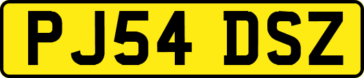 PJ54DSZ