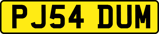 PJ54DUM