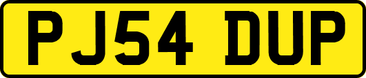 PJ54DUP