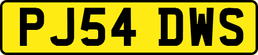PJ54DWS