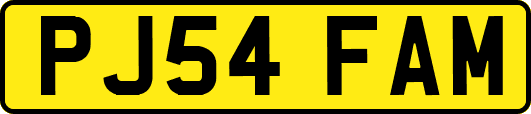 PJ54FAM