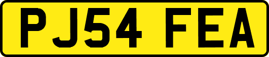 PJ54FEA