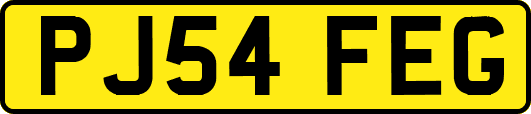 PJ54FEG