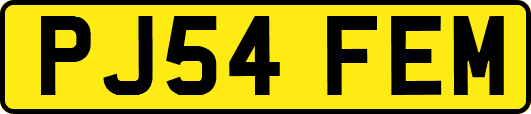 PJ54FEM