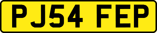 PJ54FEP