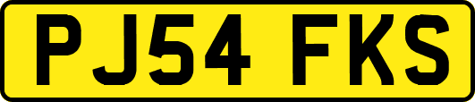 PJ54FKS