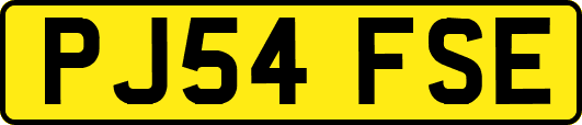 PJ54FSE