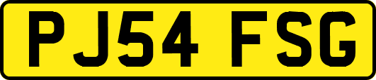 PJ54FSG
