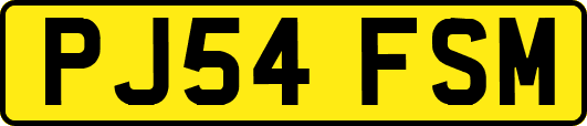 PJ54FSM