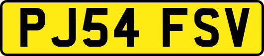 PJ54FSV