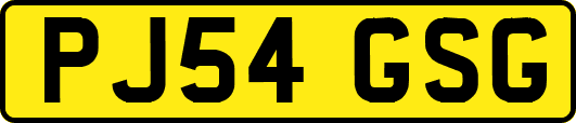 PJ54GSG