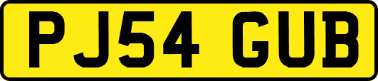 PJ54GUB