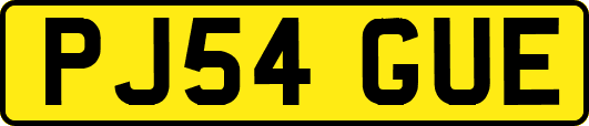 PJ54GUE