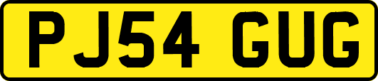 PJ54GUG