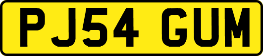 PJ54GUM