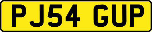 PJ54GUP
