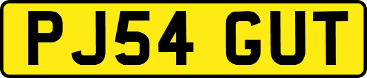 PJ54GUT