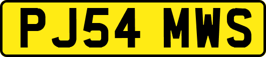 PJ54MWS