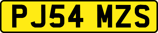 PJ54MZS