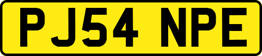 PJ54NPE