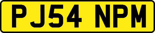 PJ54NPM