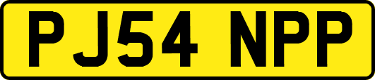 PJ54NPP
