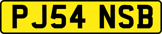 PJ54NSB