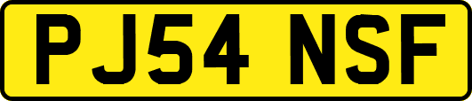 PJ54NSF