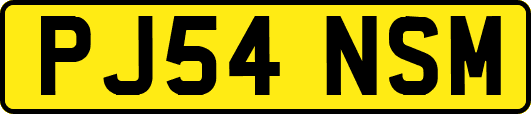 PJ54NSM