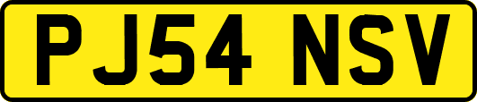 PJ54NSV