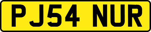 PJ54NUR