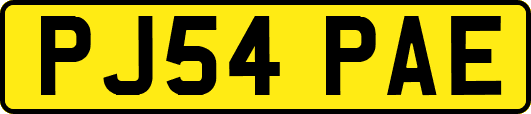 PJ54PAE