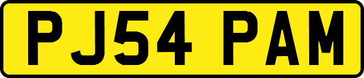 PJ54PAM