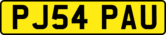 PJ54PAU
