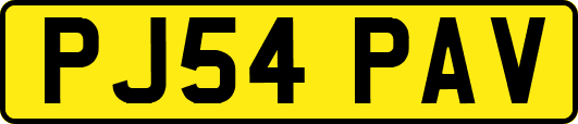 PJ54PAV
