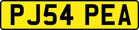 PJ54PEA