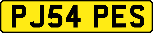 PJ54PES