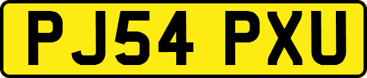 PJ54PXU